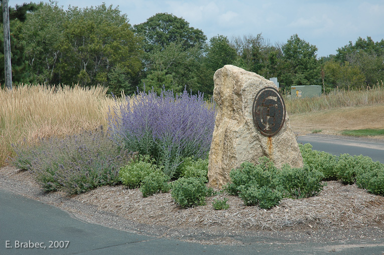 Ornamental community entrance plantings.