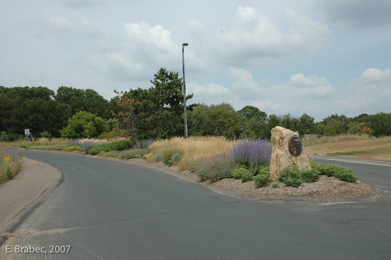 Ornamental planting