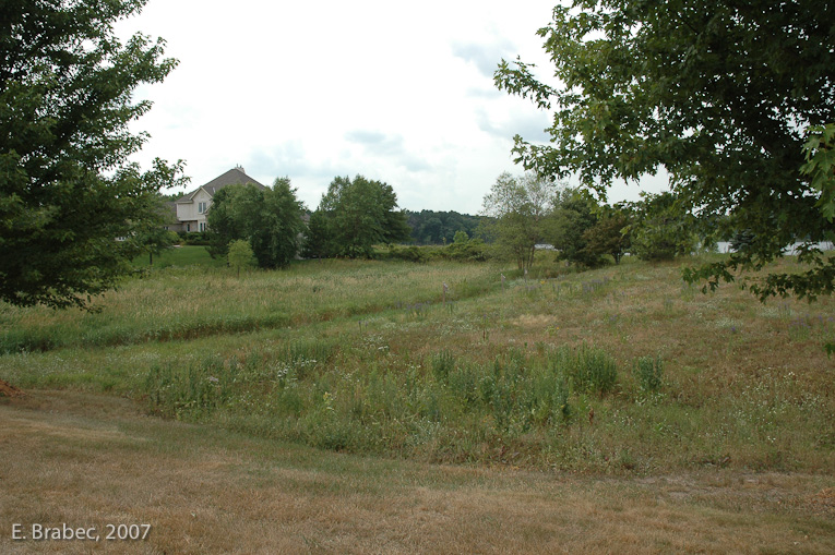 Access to the lake