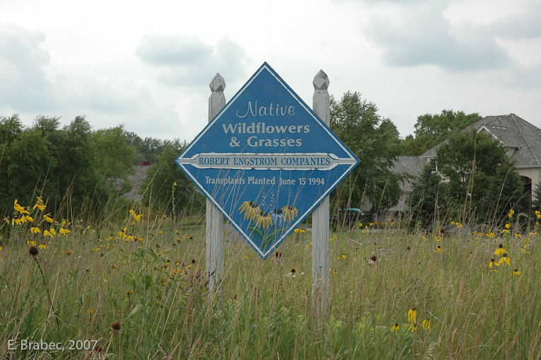 Prairie maintenance