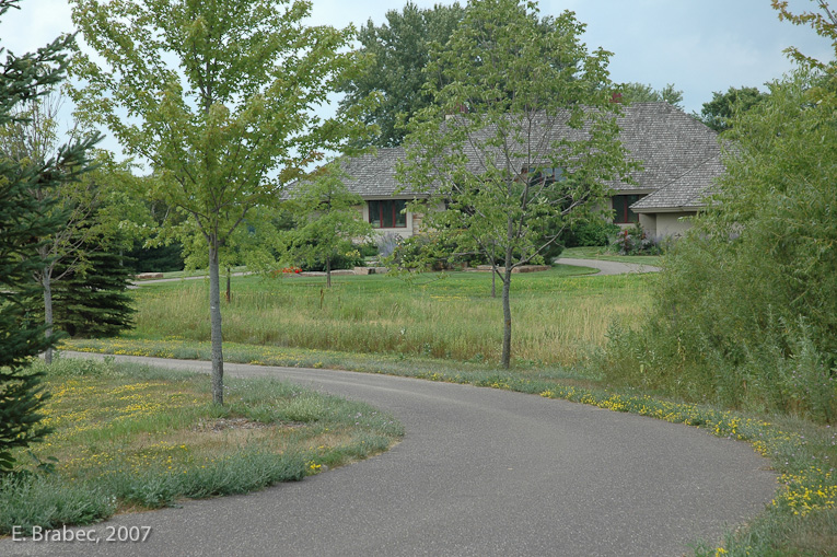 Prairie and ornamental landscapes