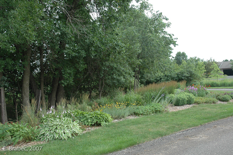 Ornamental plantings