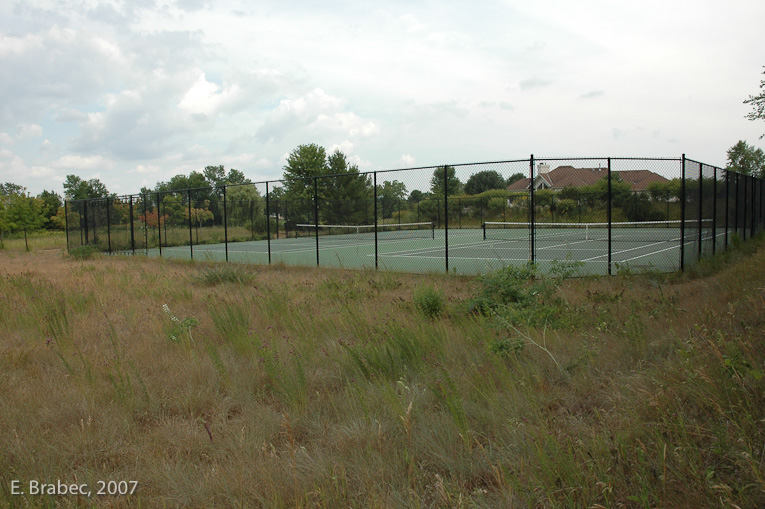 Tennis courts