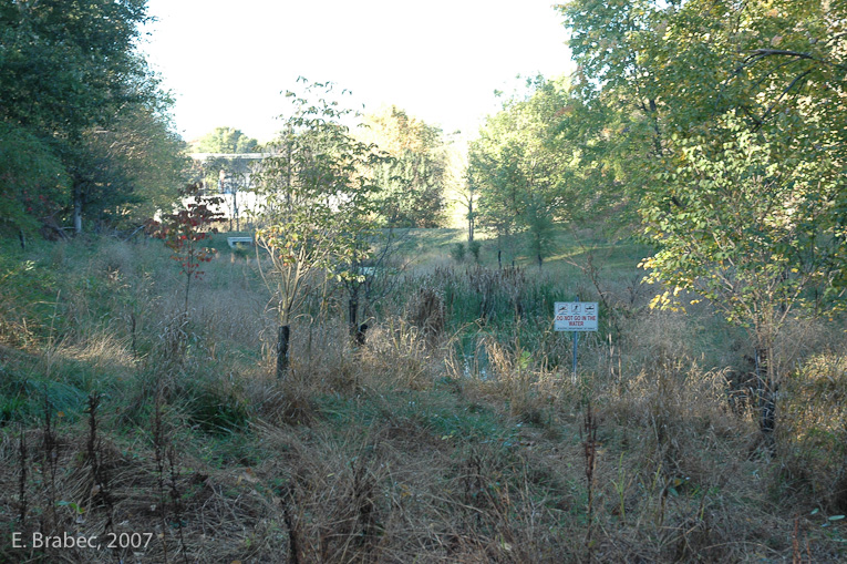 Boundary with Darnestown Road