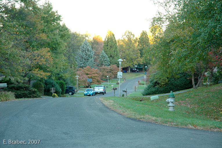 Dufief Drive, the main entrance road into the development.  