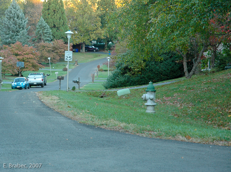 Dufief Drive, the main entrance road into the development.  