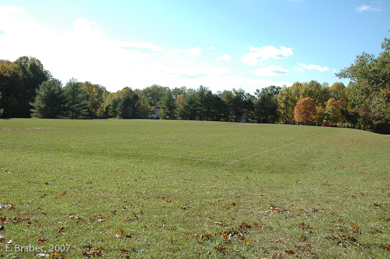 Recreation Field