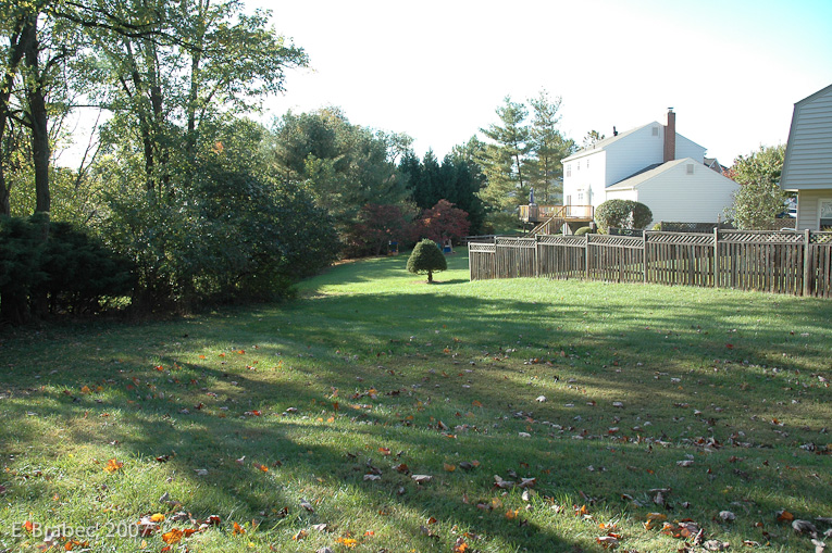 Rear yard transition