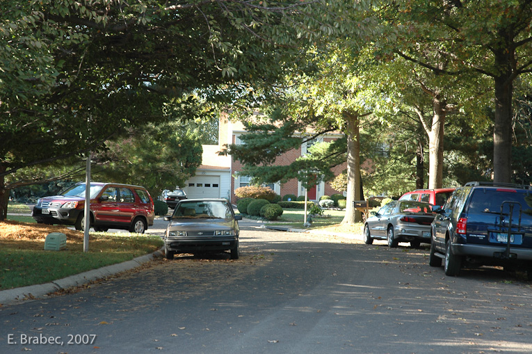 Street tree canopies