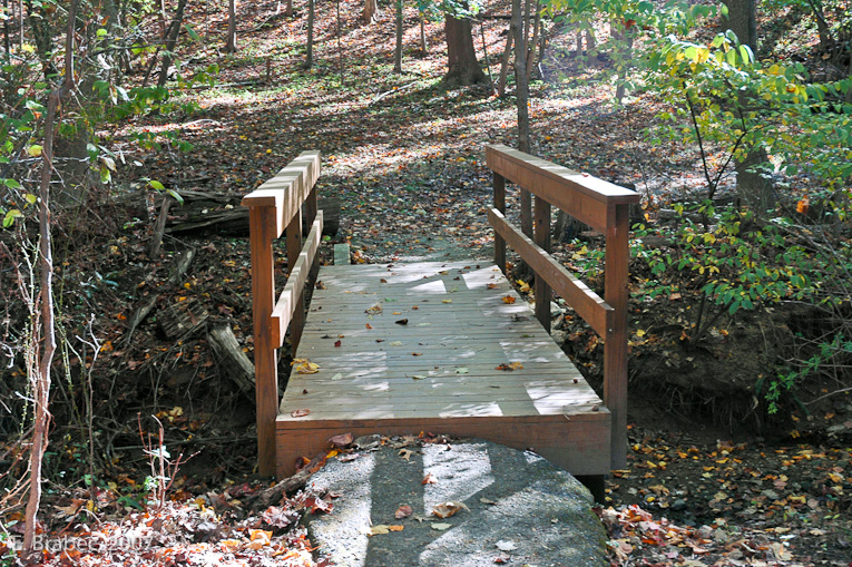 Wooden bridge over stream.