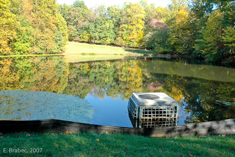 The pond and park