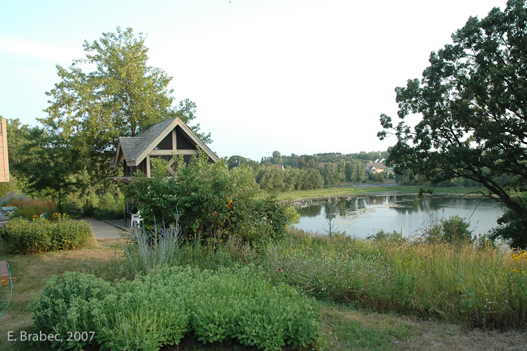 View from the community center across the pond.