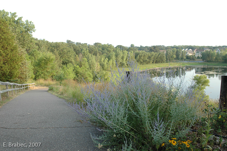 Trail system around pond