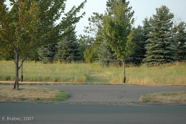 Prairie trails