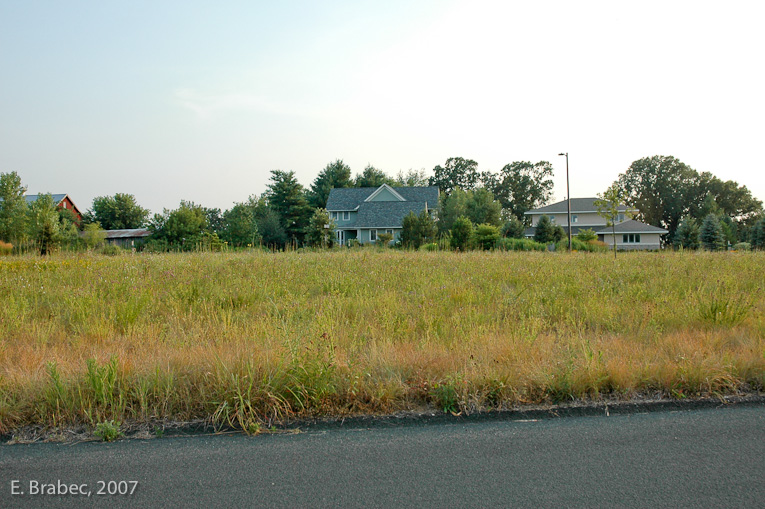 Native prairie