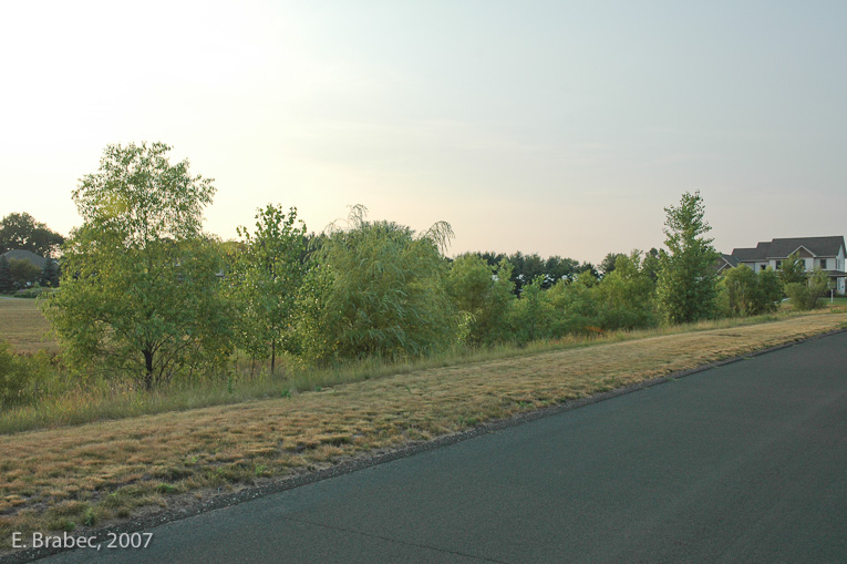 Stormwater swale