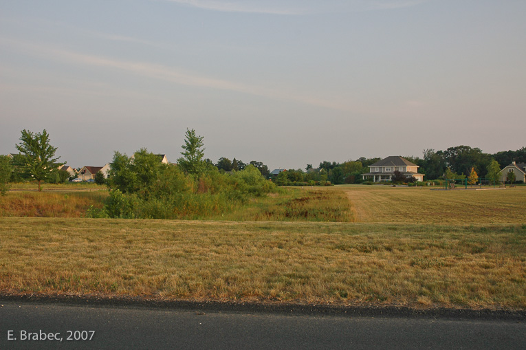 Natural area to capture stormwater