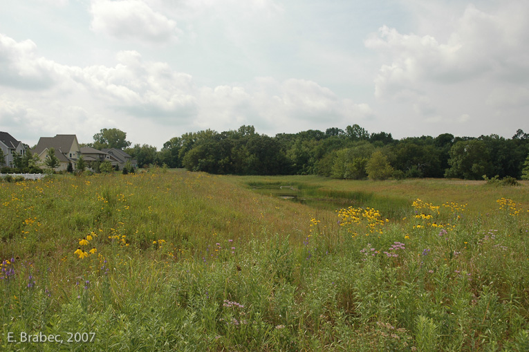 Stormwater pond