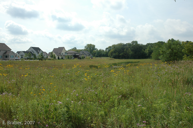 Stormwater ponds