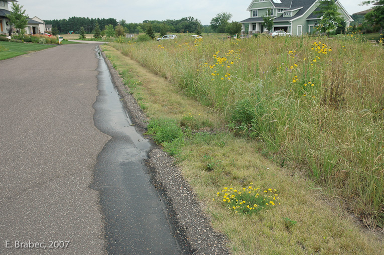 Curb cuts to access stormwater swale.