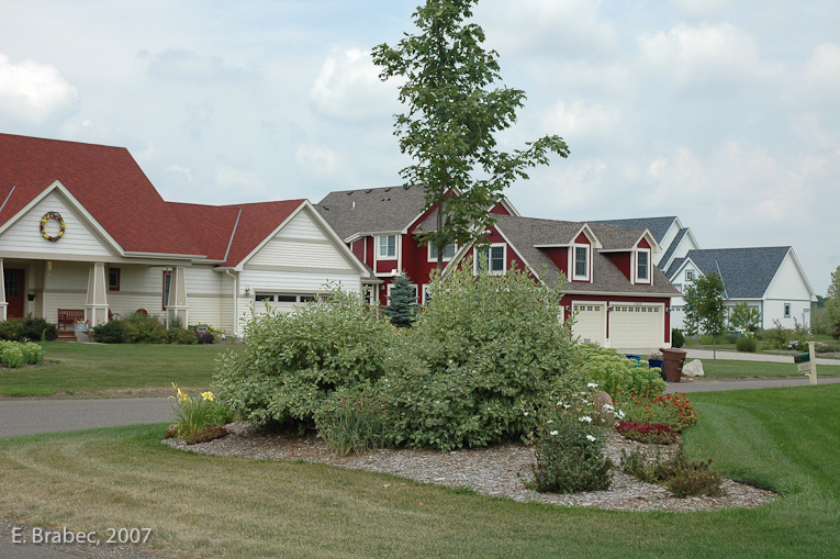 Traditional ornamental planting