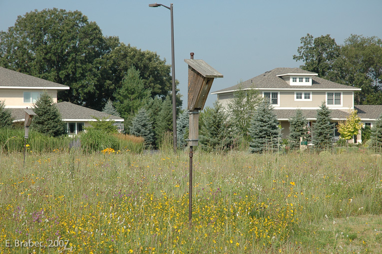 Nesting boxes