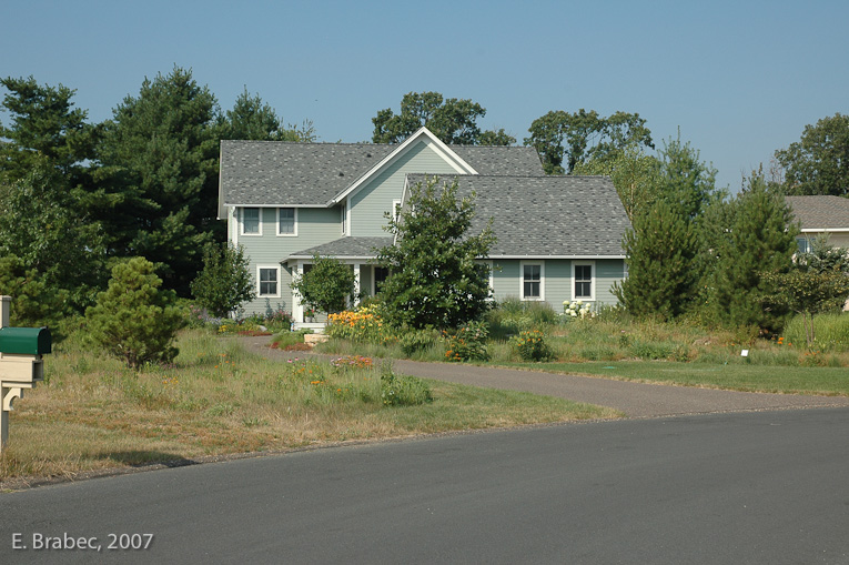 Native front yards