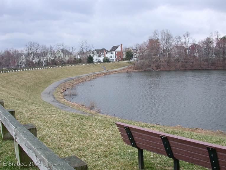 Dyke between third and fourth pond