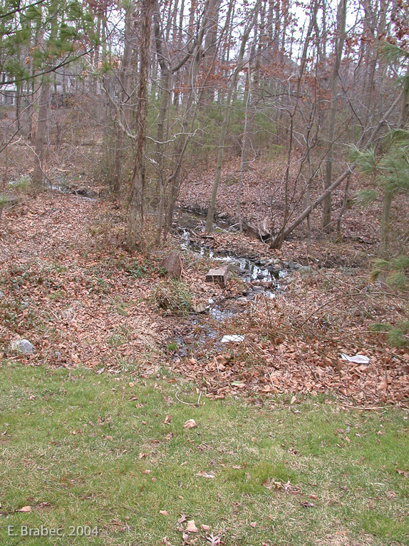 Protected stream corridor