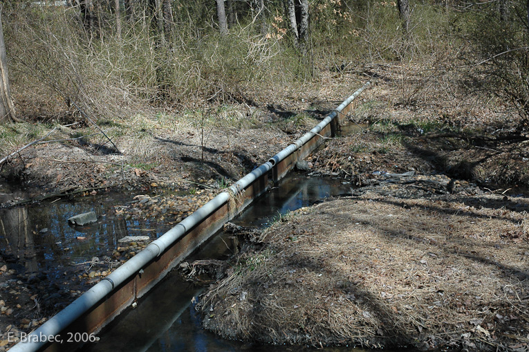 Check dams across the natural stream corridor.