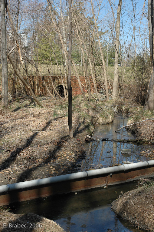 Upper reaches of the main stream corridor