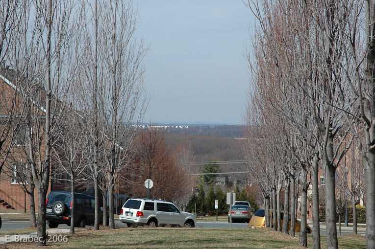 View to Mt. Sugarloaf