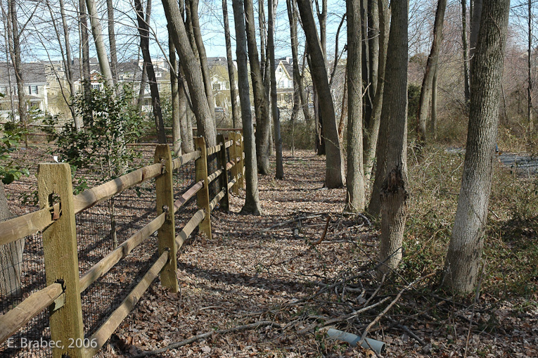 Boundary between rear yards and the protected stream corridor.