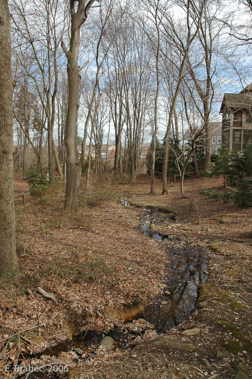 Protected stream corridor