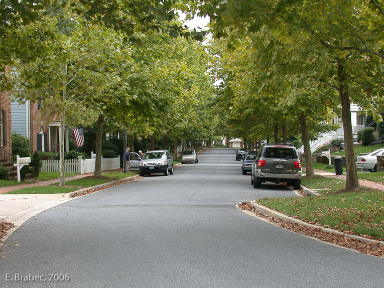 Typical residential street in Kentlands