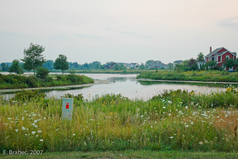 The Lake and its wetlands