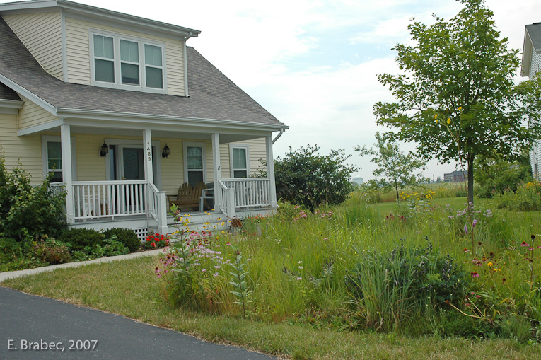 Front Yards