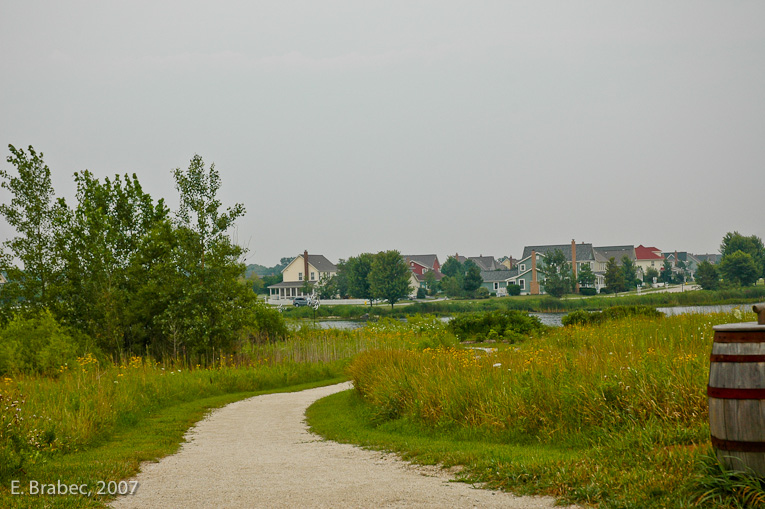 Trail leading to the pond