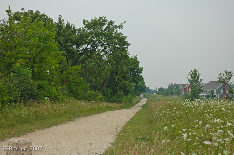 Hedgerows