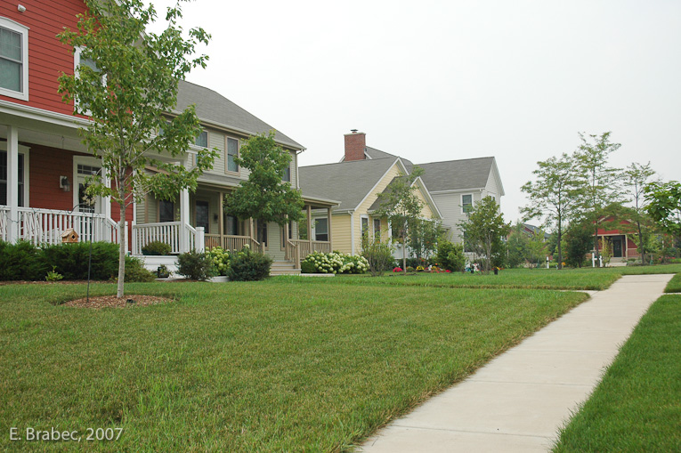 Conventional front yard plantings