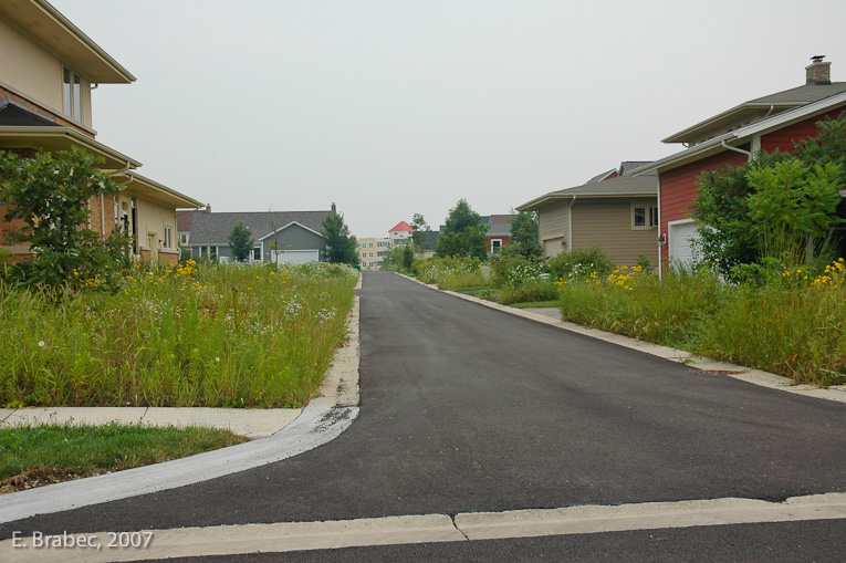 Rear yards on alley