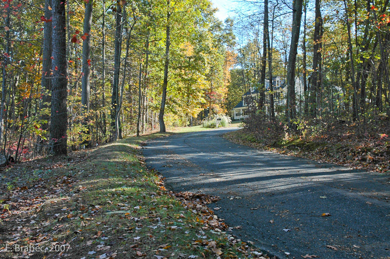 Street clearing