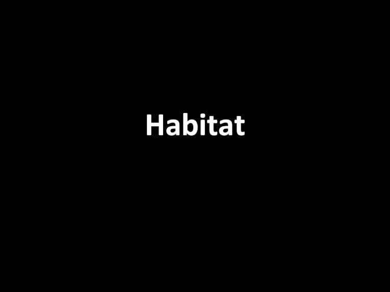 Habitat