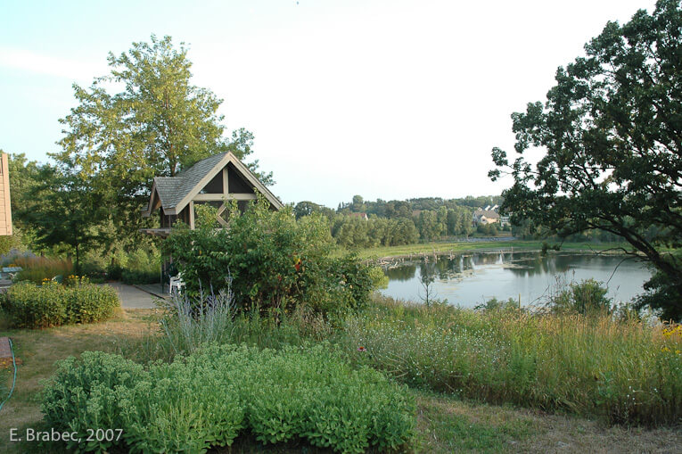 View from the community center across the pond